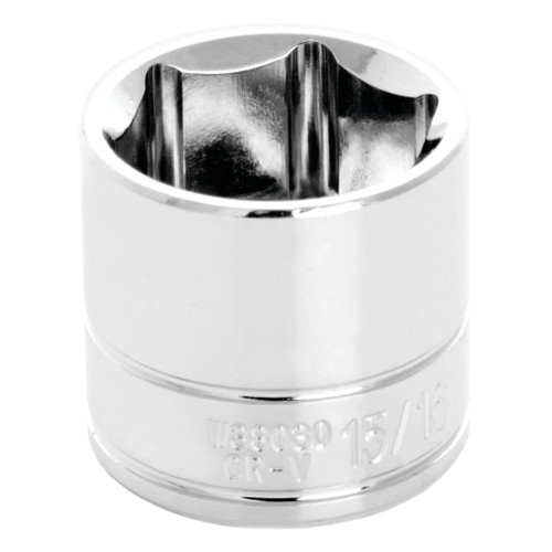 W38030- Primary  W38030- Primary