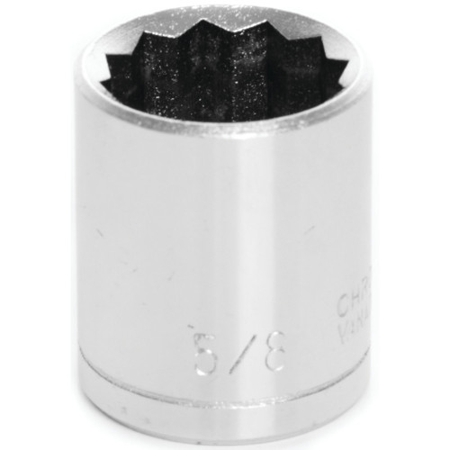 W38520- Primary 