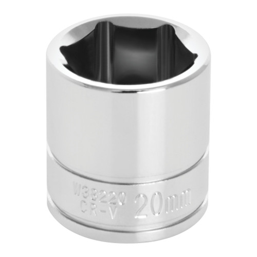 W38220- Primary 