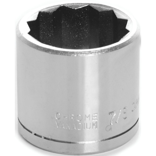 W38528- Primary 