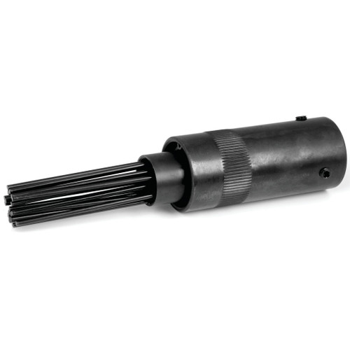 M669- Primary 