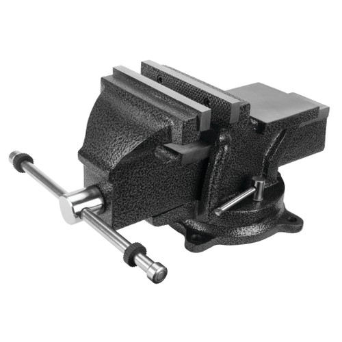 MV8- Primary 