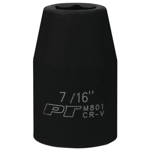 M801- Primary 