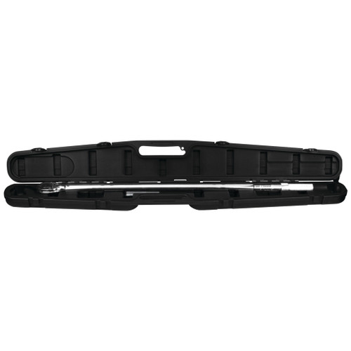 M204- Primary 