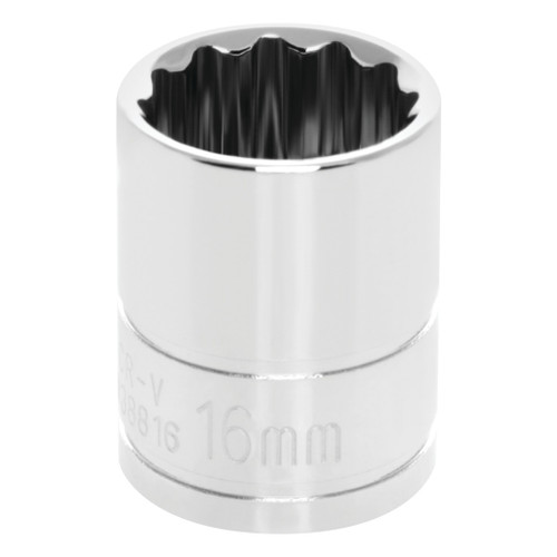 W38816- Primary  W38816- Primary