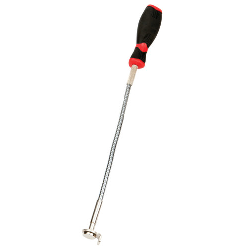 W54288- Primary 