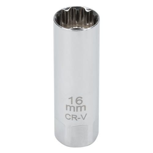 C28232- Primary 