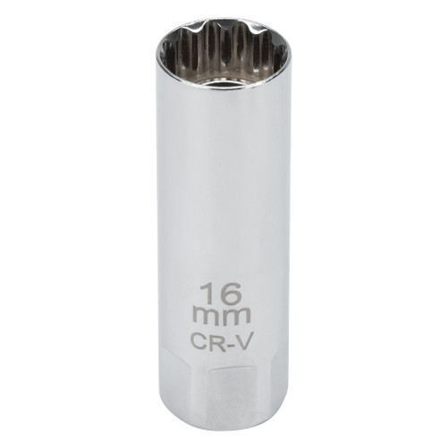 C28232- Primary 
