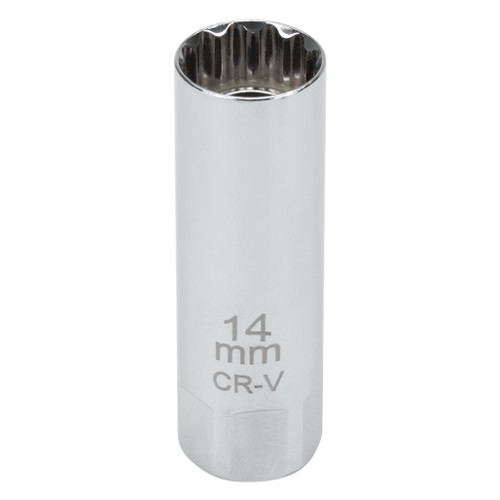 C28231- Primary 