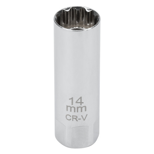 C28231- Primary 