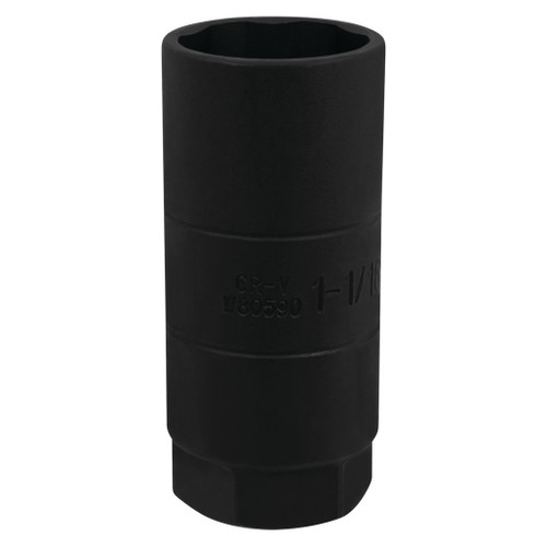 C28250- Primary 