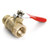 M486- Primary 