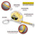20233- Application Guide 