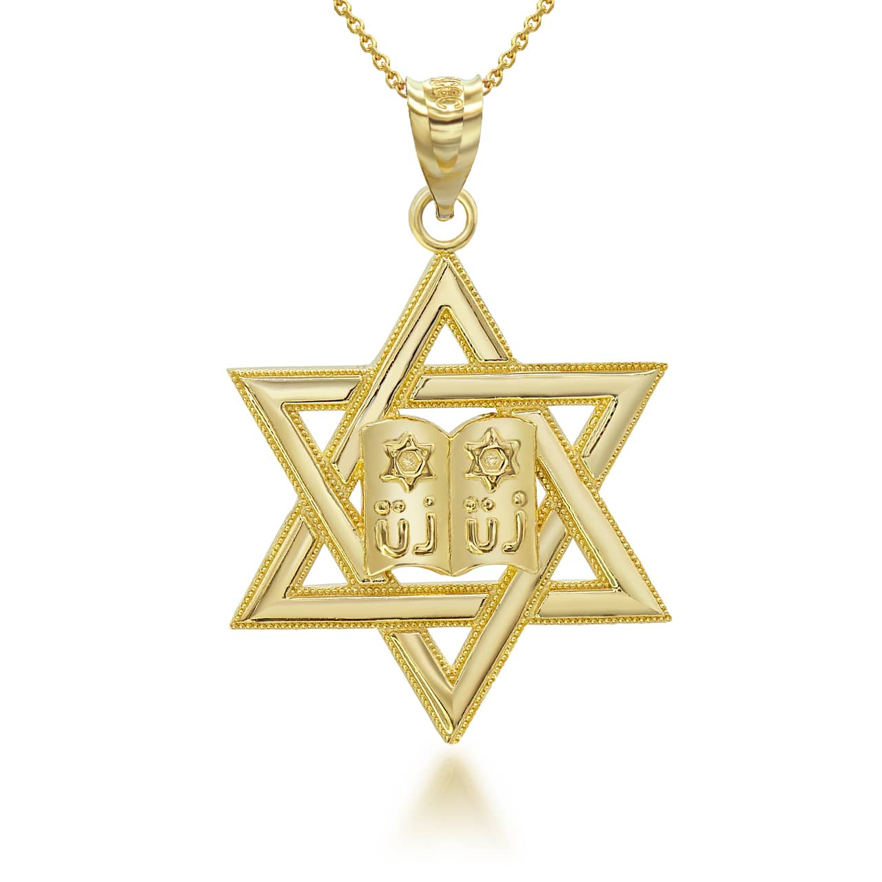 Gold Star of David Torah Pendant Necklace (Available in Yellow, Rose and  White)