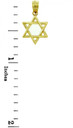 Jewish Charms and Pendants - 14K Yellow Gold Star of David Pendant - The Magen David