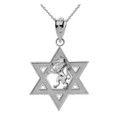 Star of David with Lion of Judah Pendant Necklace in Sterling Silver