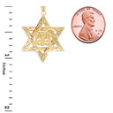 Detailed Star of David (Hebrew) Ten Commandment Book Pendant Necklace in Gold (Yellow/Rose/White) (Small)