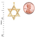 Detailed Star of David Pendant Necklace in Gold (Yellow/Rose/White) (Small)