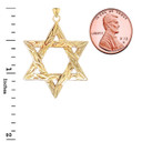 Detailed Star of David Pendant Necklace in Gold (Yellow/Rose/White) (Large)