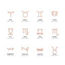 14K Rose Gold 12 Astrological Zodiac Sign Diamond Sideways Necklace Together