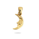 Gold Crescent Moon Pendant