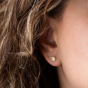14K Yellow Gold Sea Turtle Stud Earrings on female model