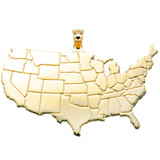 United States Map Yellow Gold Pendant Necklace