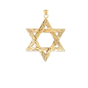 Solid Gold Detailed Star of David Pendant Necklace(S/L)(Available in Yellow/Rose/White Gold)