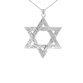 Detailed Star of David Pendant Necklace in Sterling Silver (Small)