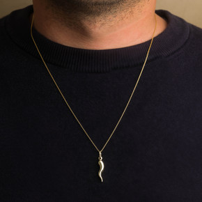 14K Gold Lucky Italian Horn Cornicello Pendant Necklace on male model