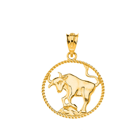 12 Astrological Zodiac Signs Rope Pendant Necklace in Solid Yellow Gold