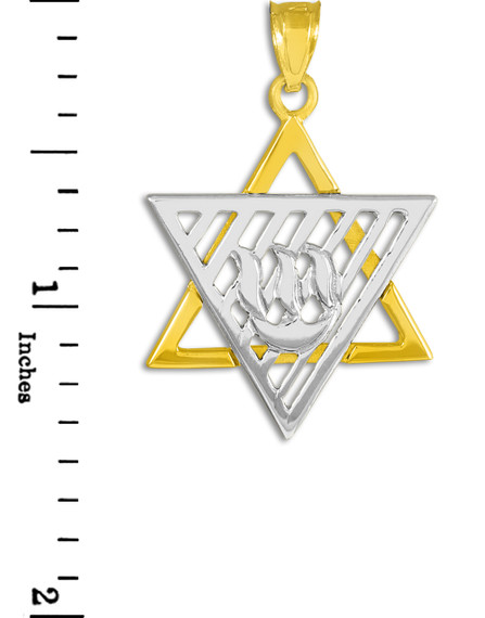 Two-Tone Gold Flaming Star of David  Large Pendant Necklace