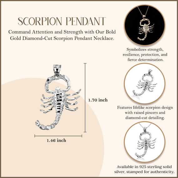 925 Sterling Silver Scorpion Pendant Rope Necklace