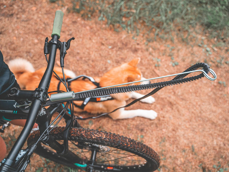 Non-Stop Bike Antenna