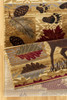 Nature's Nest - GC_CBL3002 Lodge Area Rug Nature's Nest - GC_CBL3002 Lodge Area Rug