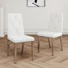 Modern Light Luxury Dining Chair (Set of 2)