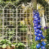 Metal Garden Rustproof Trellis For Climbing Plants Outdoor Flower Support Metal Garden Rustproof Trellis For Climbing Plants Outdoor Flower Support