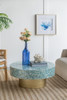 Unique Capiz Coffee Table & Pedestal Base
