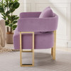 Modern Decorative Chair Teddy Fleece Upholstered And Metal Foot Modern Decorative Chair Teddy Fleece Upholstered And Metal Foot