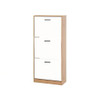 Modern Freestanding Shoe Storage Cabinet With 3 Flip Drawers