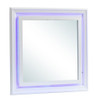 Elegant Transitional LED Mirror 2 - Silver Champagne
