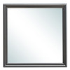 Elegant Transitional Mirror - Metalic Black
