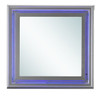 Elegant Transitional LED Accent Mirror 2 - Silver Champagne