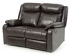 Double Reclining Love Seat - Dark Brown