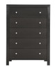 Modern Elegant Transitional Storage Chest - Black