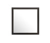 Modern Design Transitional Wall Mirror - Black