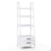 Sawhorse - Ladder Shelf With Storage - White