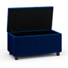 Cosmopolitan - Storage Ottoman - Blue