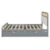 Queen Size Platform Bed With Trundle And 2 Drawers - Gray
