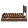 Queen Size Platform Bed With With 2 Big Drawers, Twin Long Size Trundle - Walnut